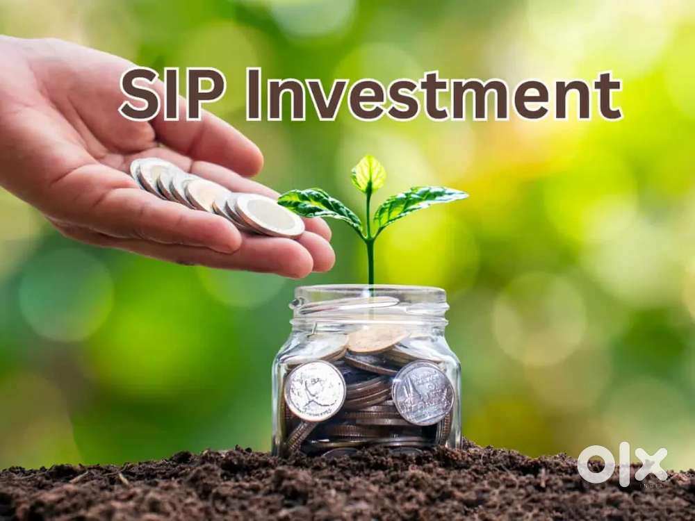 Monthly SIP (INVESTMENT PLAN)