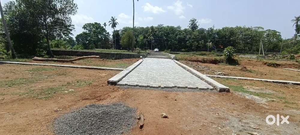 5,6, 8, 10 CENT PLOT AREA- ANGAMALY PULIYANAM NEAR BY