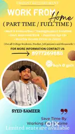 Work from home online
