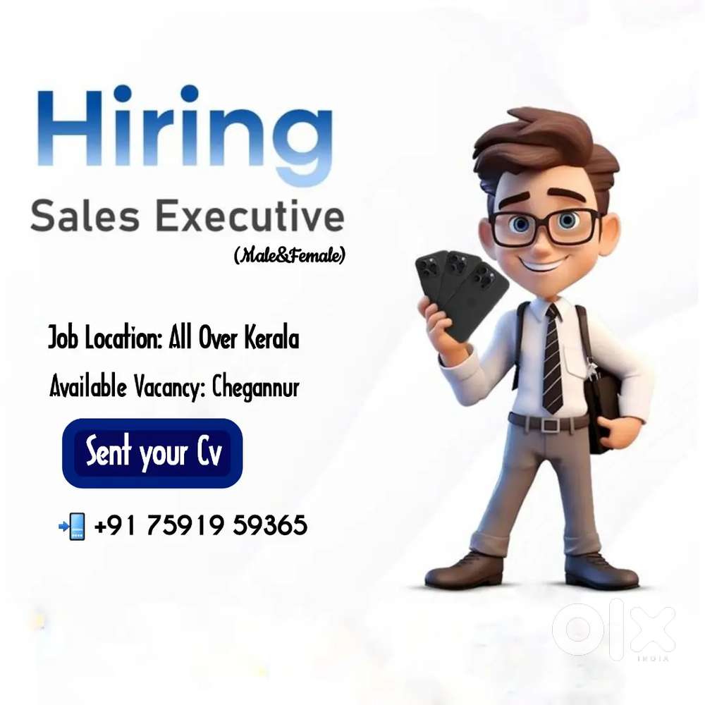 Sales Executive