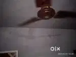 Brand new fan