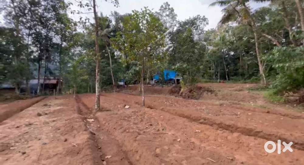 80 cent land for sale