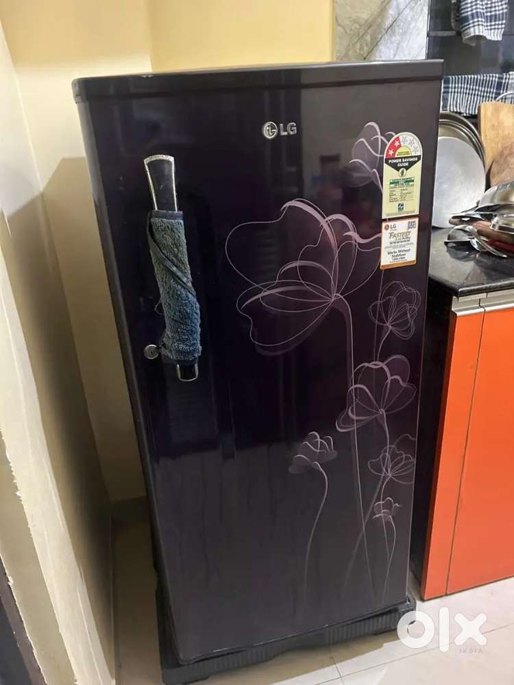 LG single door 185L fridge