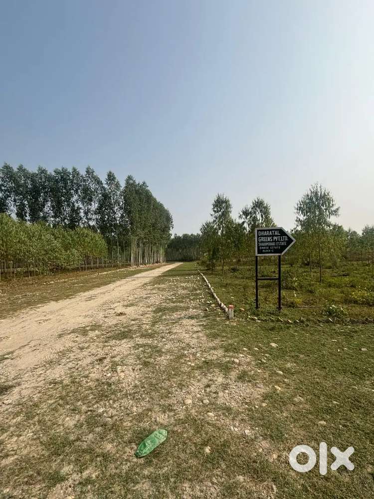 Investment plots 8050rs per gaj