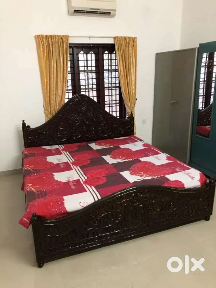 3 BHK fully furnished apartment for rent near maradu