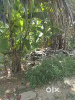 25 Cents Prime Land for Sale in Trivandrum
