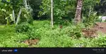 25സെന്റ് സ്ഥലം വില്പനക്ക്