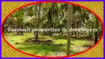 10 cents House plot for sale in near Nanminda 13th Mile