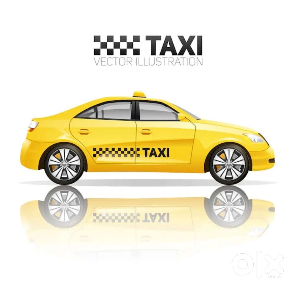 Tourist car driver