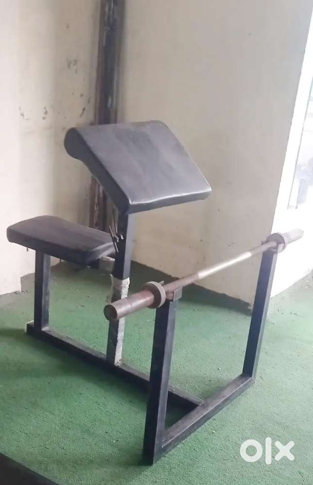 Biceps workout table