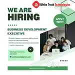 BUSINESS DEVELOPMENT EXECUTIVE