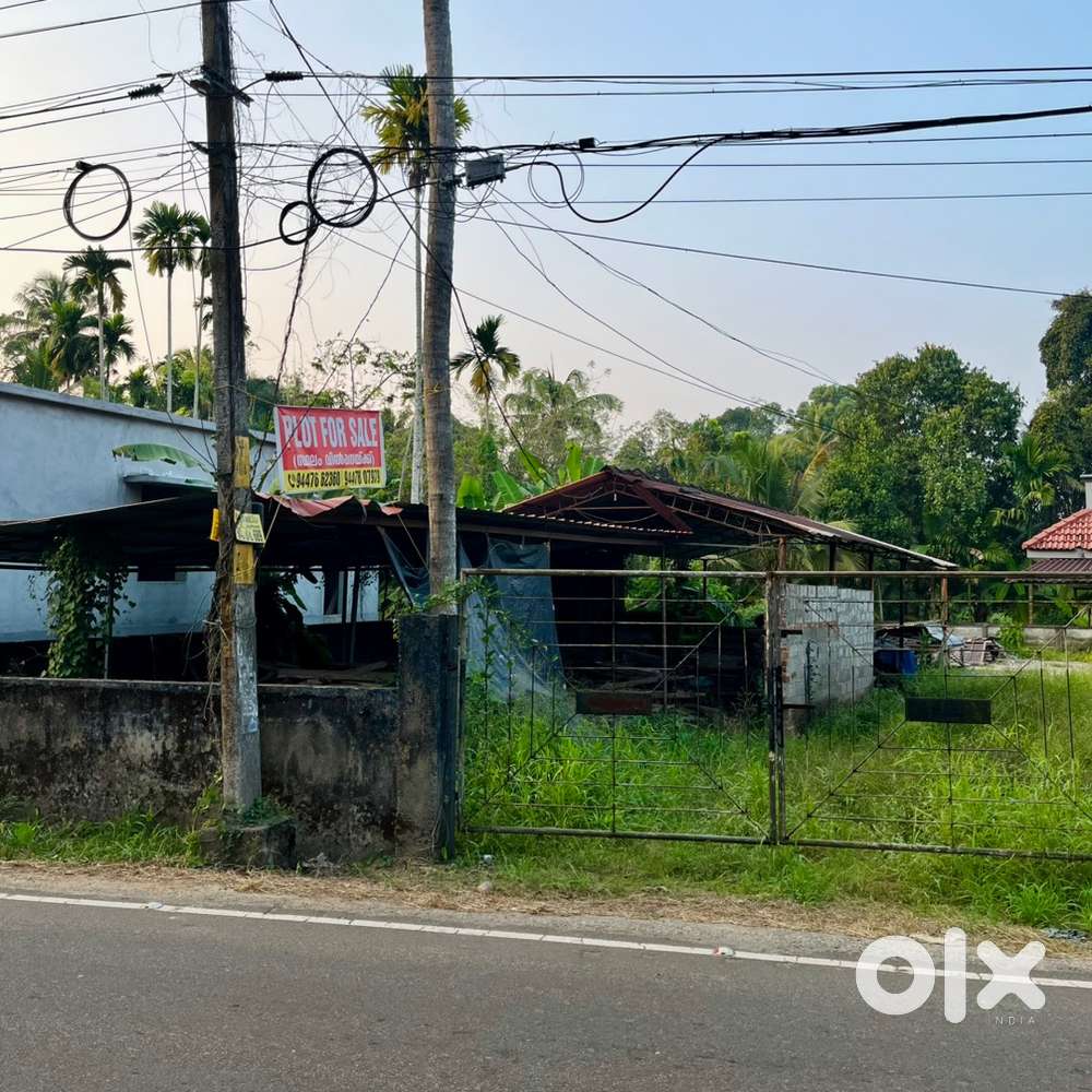 10 Cent Plot for Sale in Thiruvarpu, Kottayam