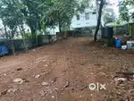 കരഭൂമി 5 cent, Near Pangod, Thirumala. Rs 14 lakhs/cent negotiable