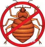 BED BUG Solution 100%
