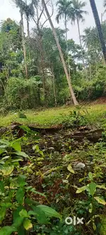 Plot for sale