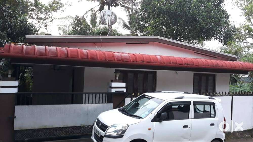 5 cent plot with 3 Bedroom House for Sale in Thottackad