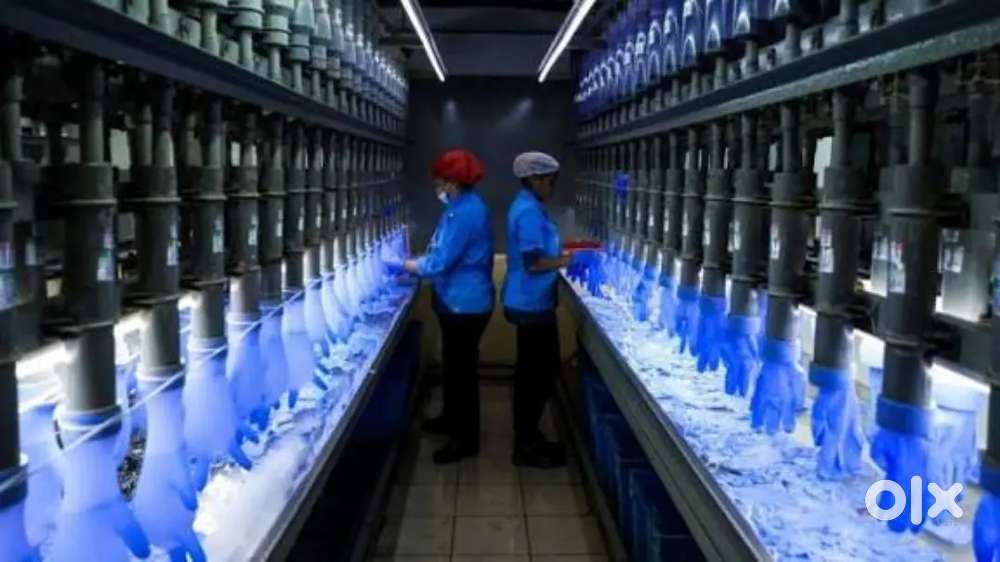 Wanted m/f packing staffs [ night/ day / partime]