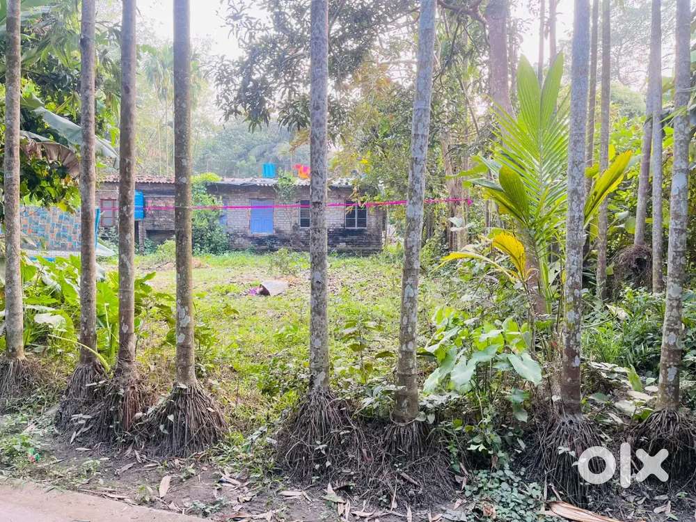 Near by surjo sangha math debpukur , it is 4 kata