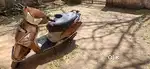 TVS JUPITER STALION BROWN COLOUR GOOD CONDITION
