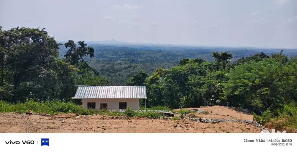 Kothamangalam Nellimattom 46 cent for sale