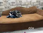 Sofa cum bed