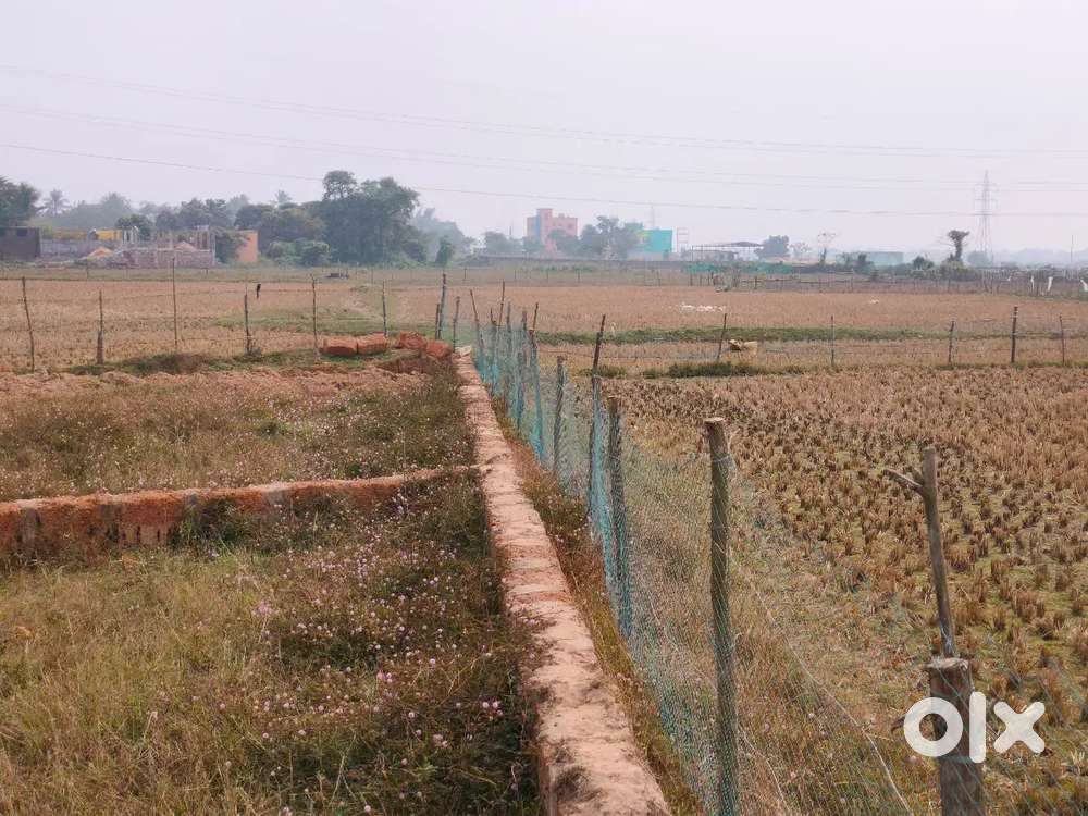 Plot for sale near bhagwanpur, patrapada