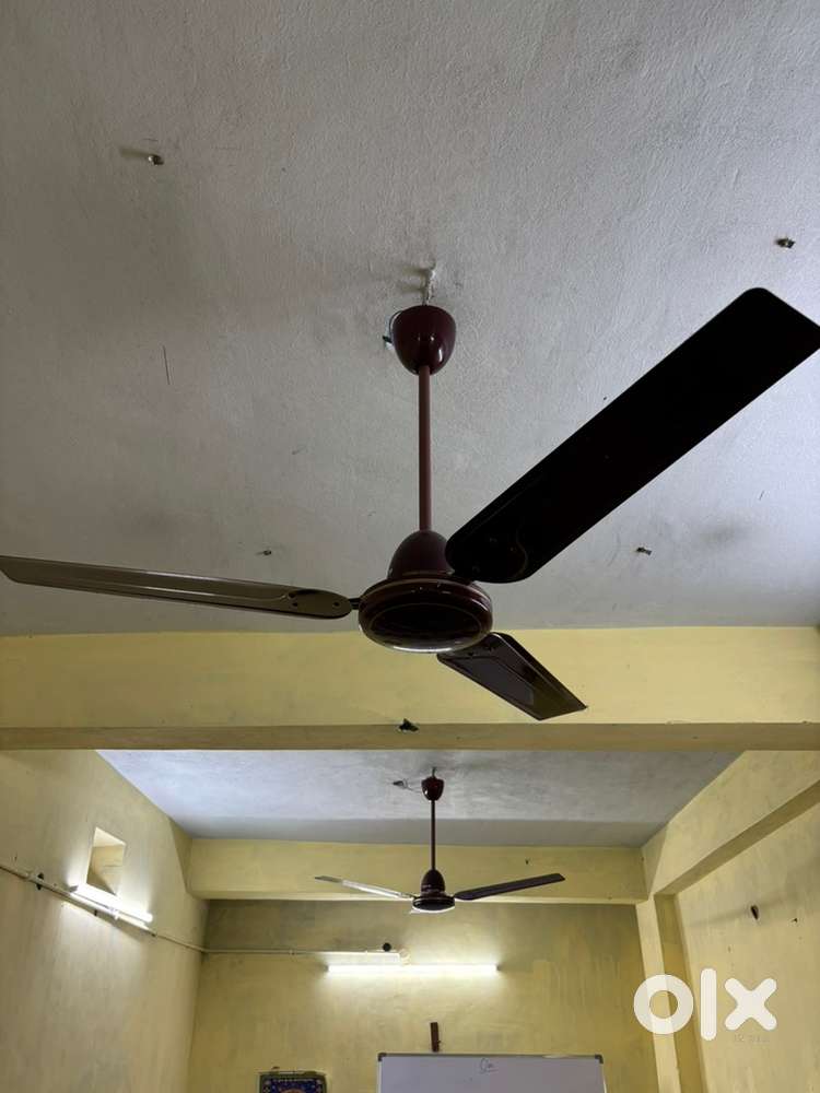 Philips ceiling fan- 3 pieces