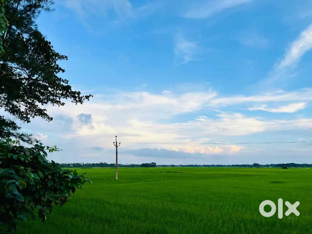 Best plot & very close from NH316 & School & Market