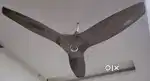 Orient electric aerolite ceiling fan for sale