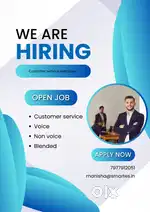 Customer service executive