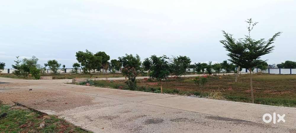 KUDA APPROVED PLOTS FOR SALE IN KURNOOL