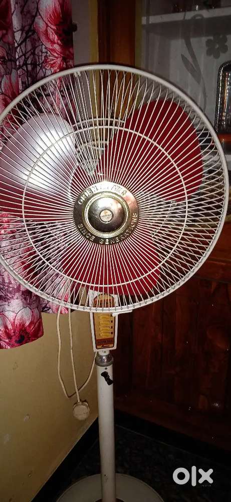 Standing Fan