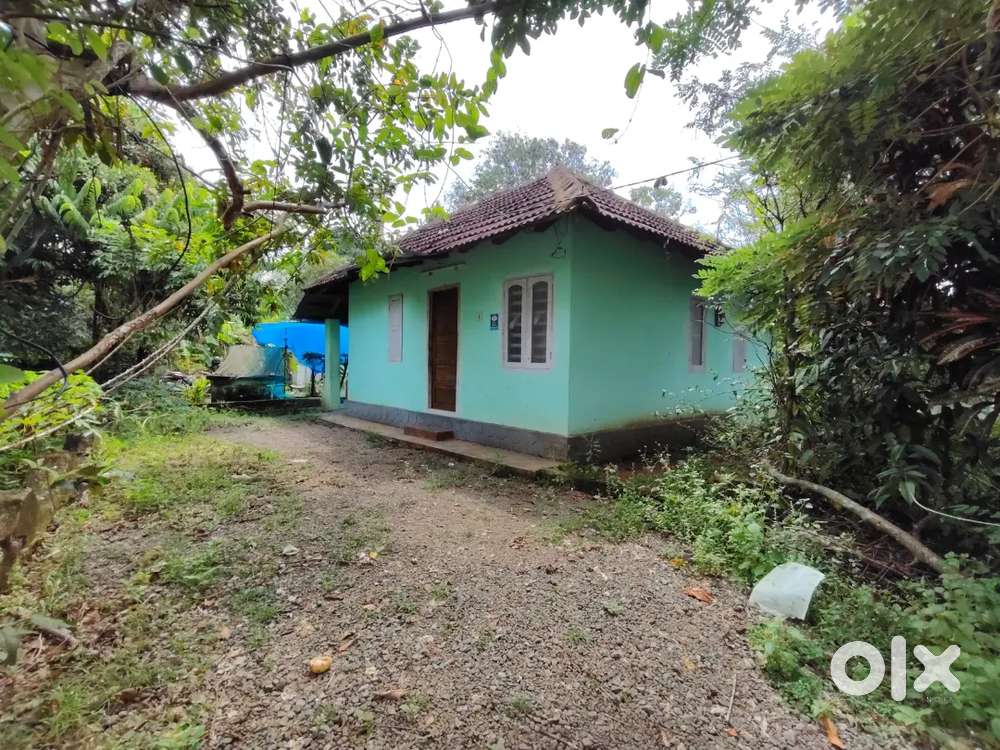 ALUVA,  ALANGAD PLOTT  7.500 CENT,  NOT FLOOD AREA PER SENT  3.5  LAKH