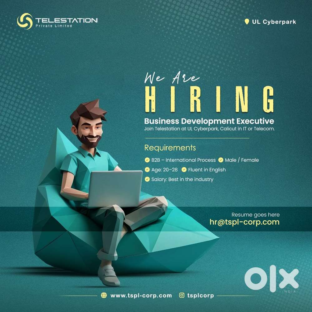 Business Development Excutive