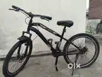 Avon company cycle