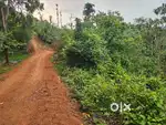 50 cent commercial land Suitable for resort ,homestay,farm etc@WAYANAD