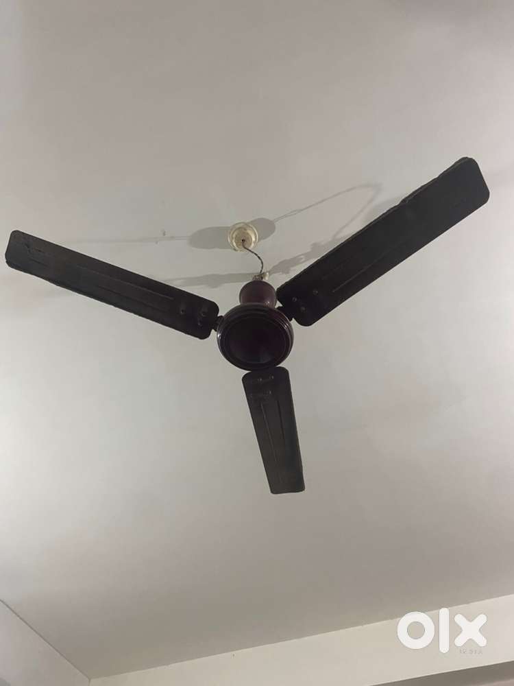 Ceiling fan