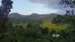 അമ്പലവയലിൽ കാരാപ്പുഴ Water View ഉള്ള 50 സെൻ്റ് സ്ഥലം