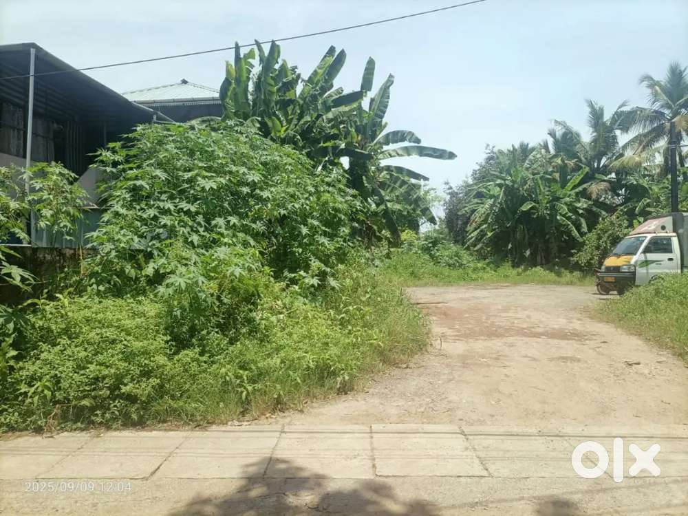 10 cent Square Plot (Purayidam )  For Sale  at Pachalam
