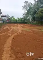15 cent clear plot near Rajagiri hospital aluva