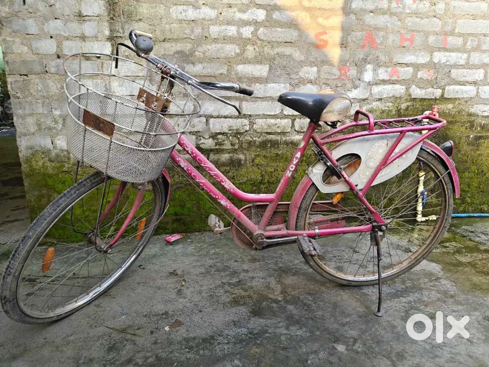 2 yrs Old Ladies Bicycle
