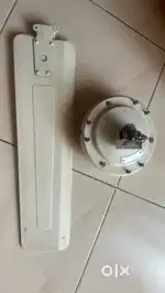 Celing Fans