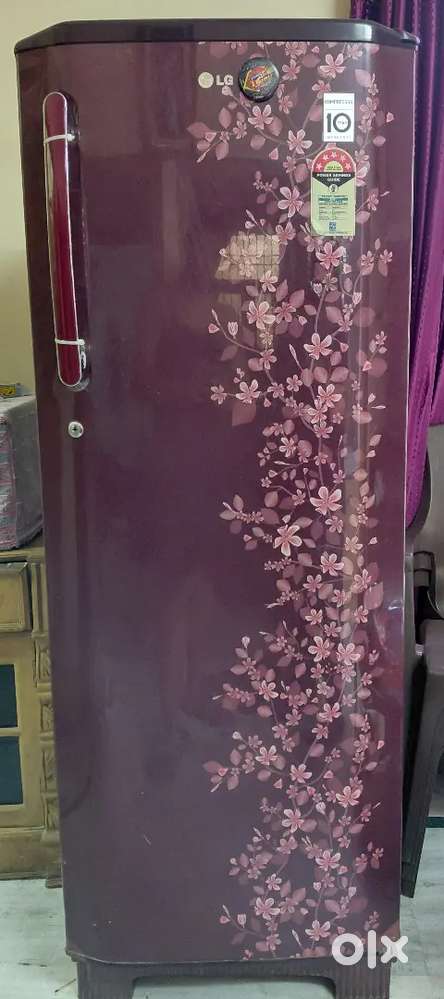 LG single door 270 L 5 star fridge