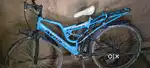 Sailing cycle at Rs.2000