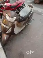 Brown scotty jupiter
