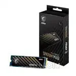 MSI SPATIUM M 450