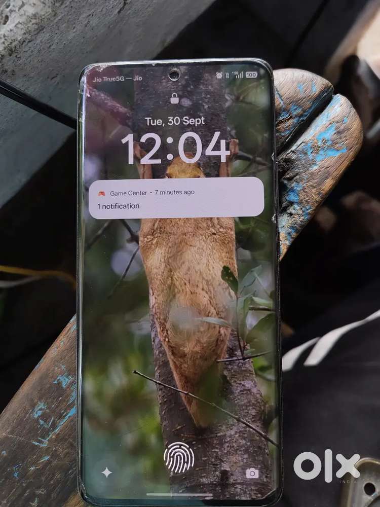 Oppo reno 11 8/128