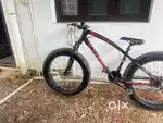 Fat tyre monster cycle for sale best price