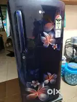 LG DC 190L 3S GL-B201ABPD BLUE PLUMERIA