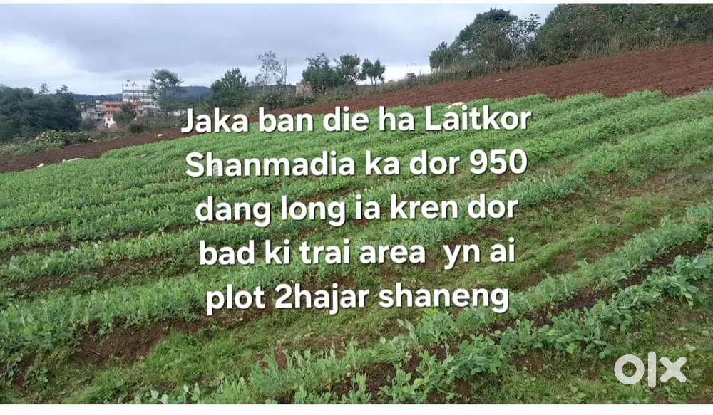 Land at Mawarling Laitkor